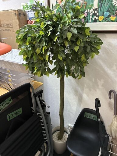 人工観葉植物 光触媒 大型 フェイクグリーン ベンジャミン風 白鉢 インテリア