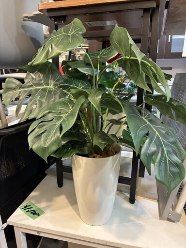人工観葉植物 光触媒 モンステラ フェイクグリーン 白鉢 インテリア