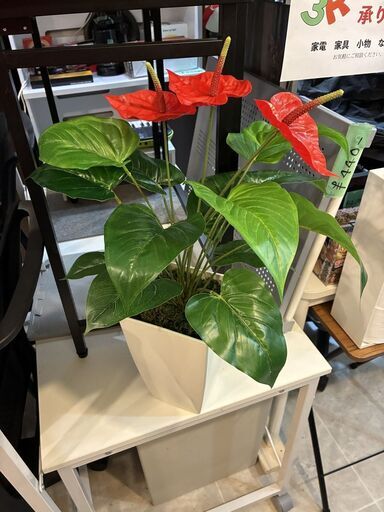 人工観葉植物 光触媒 アンスリウム 赤 フェイクグリーン 白鉢 インテリア